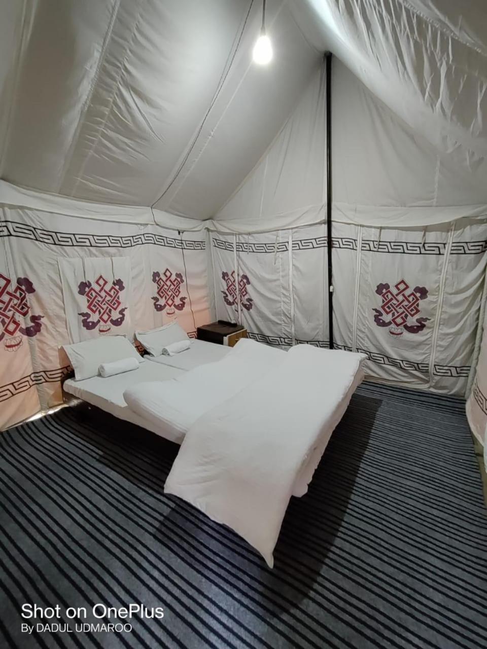 Tongspon Camp Nubra view 2