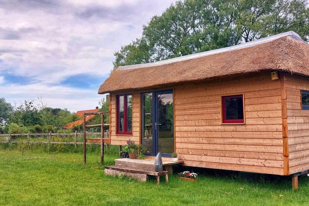 Tiny in de polders