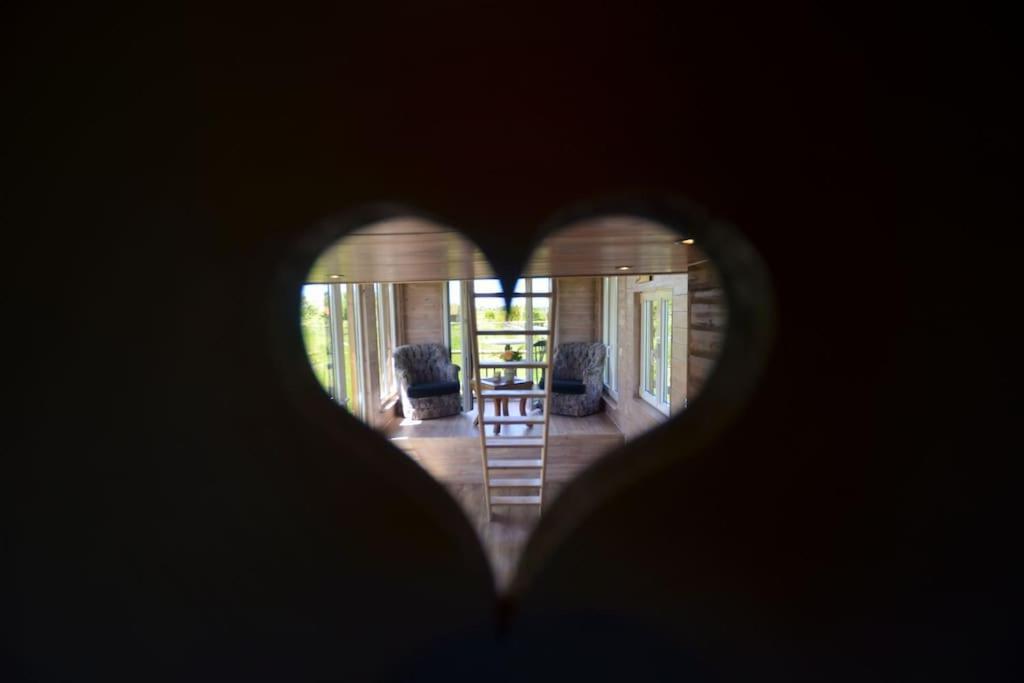 Tiny in de polders