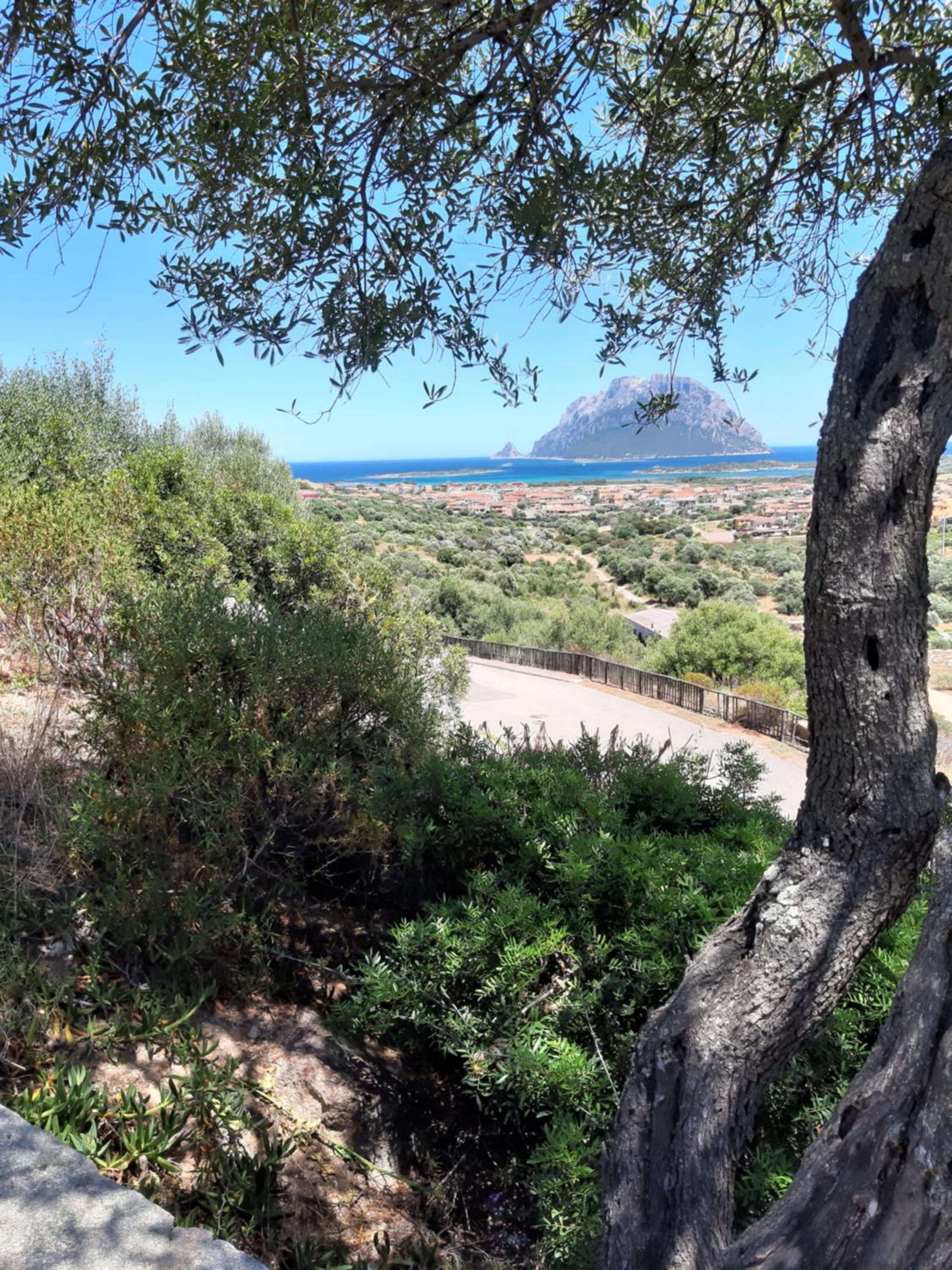 splendida vista mare per una vacanza da sogno