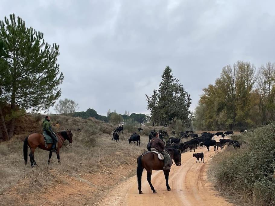 Casa Rural Berta