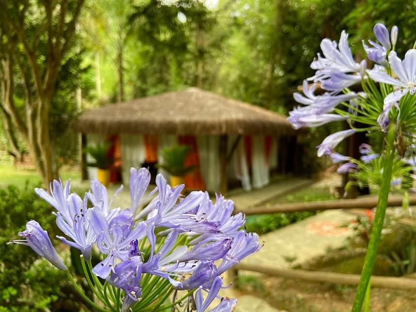 Espaço Viverde Penedo