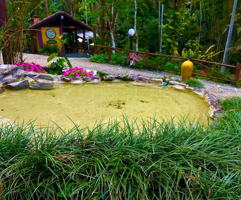 Espaço Viverde Penedo
