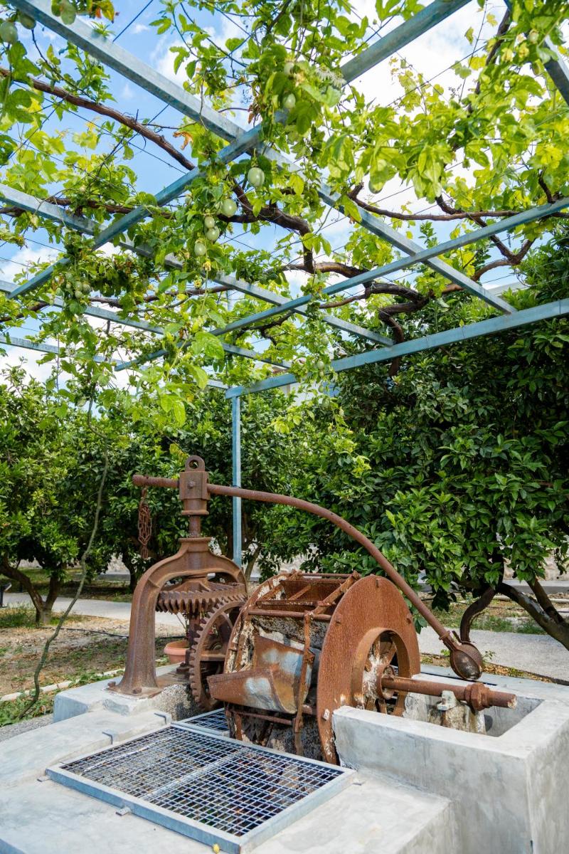 Ialyssos Vacations - Ilyssion Holidays Hotel - Property Image 16
