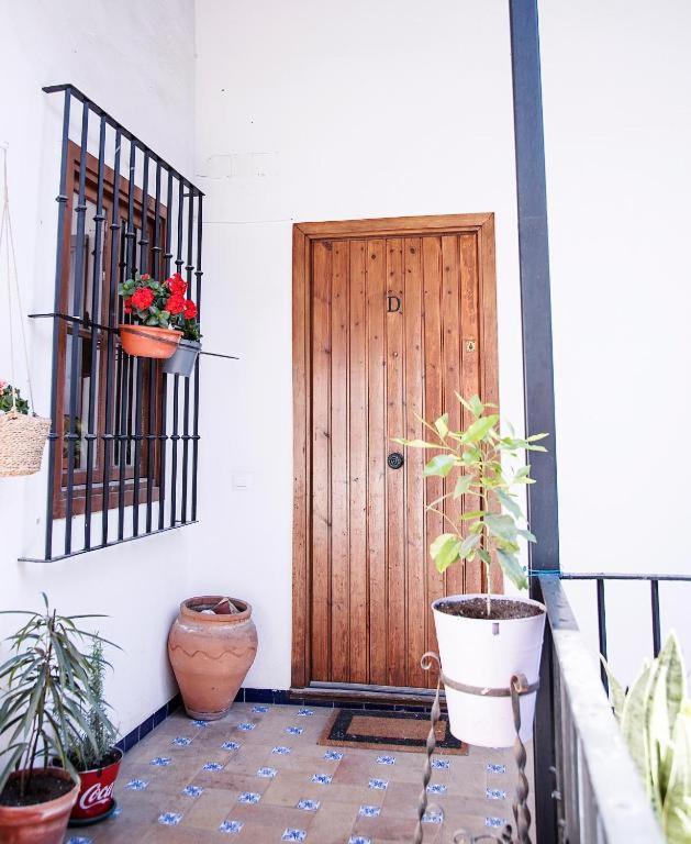 RentalSevilla Galera photo 3