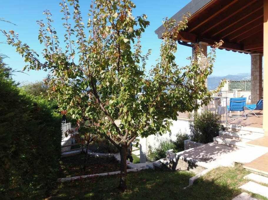Photo 26