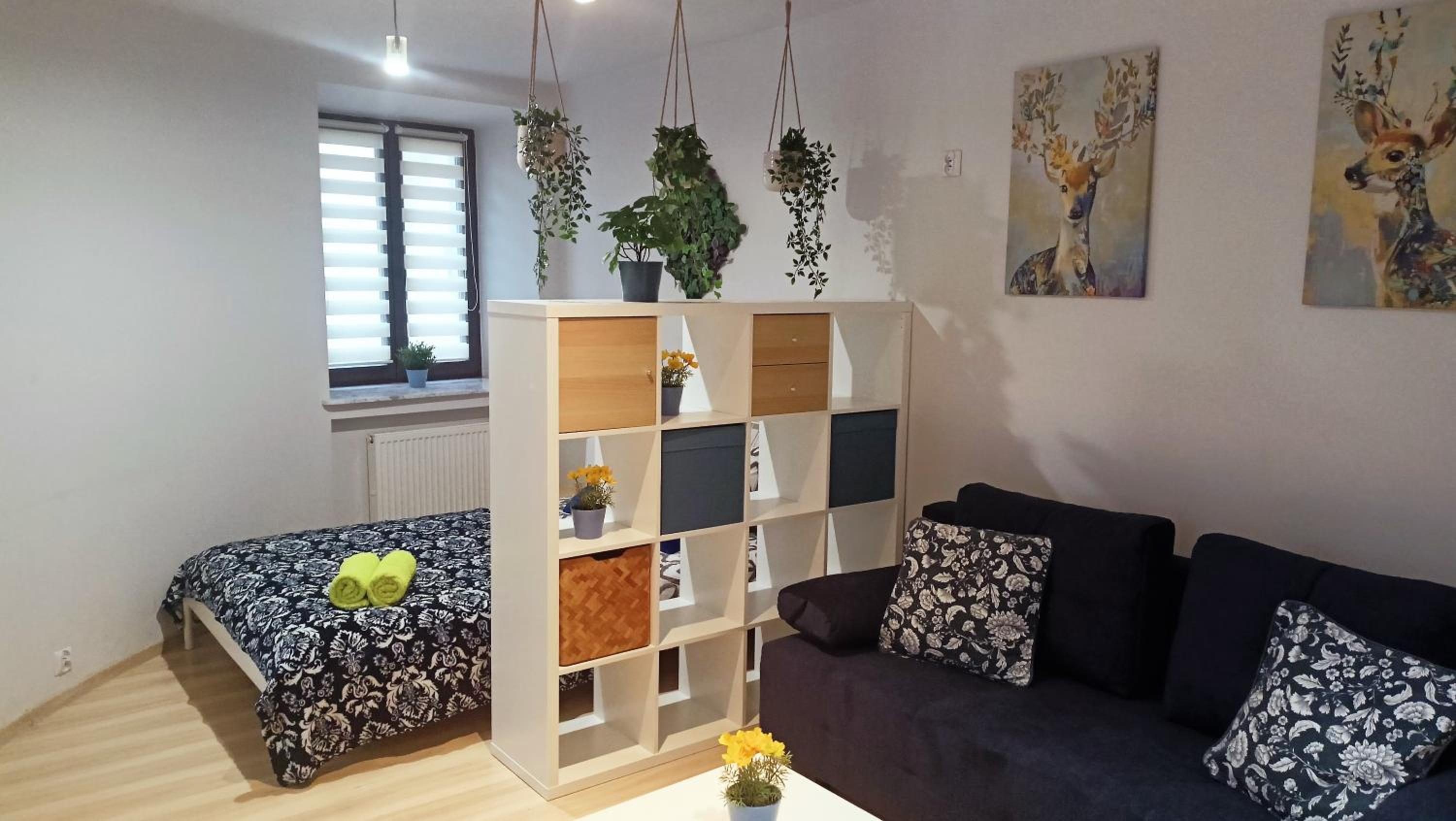Apartament Granatowy Świętoduska 12 view 3