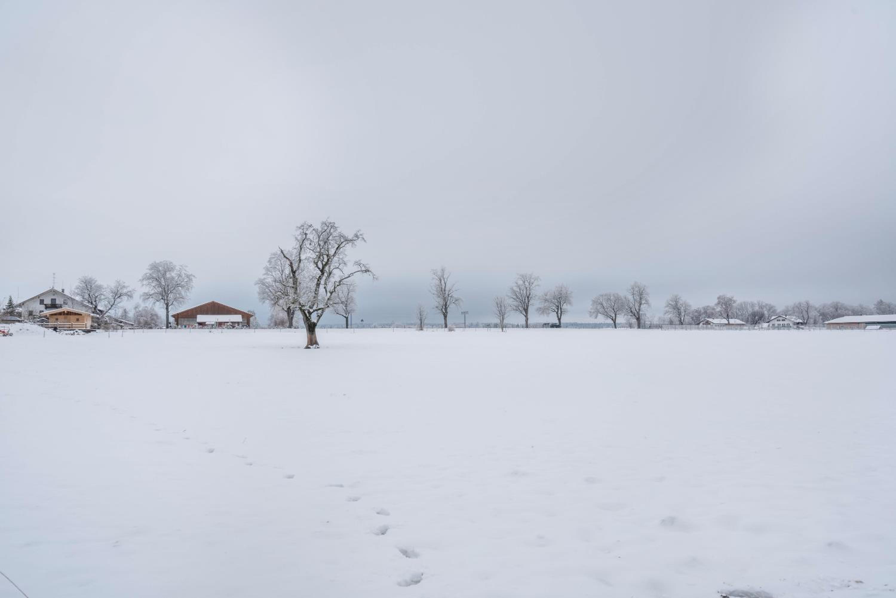 In Bayern