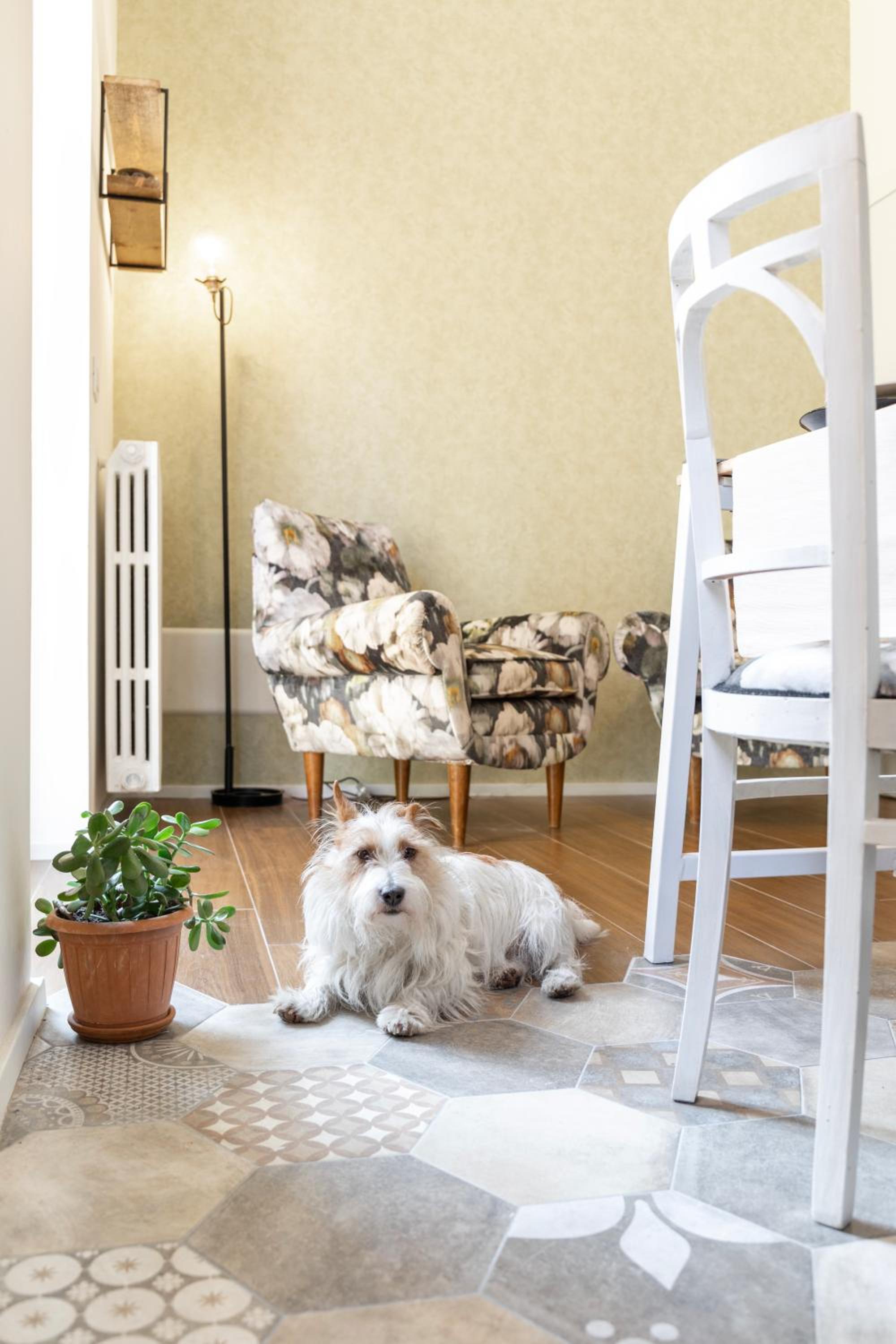 Happy Travelers Apartment by Holiday Solutions