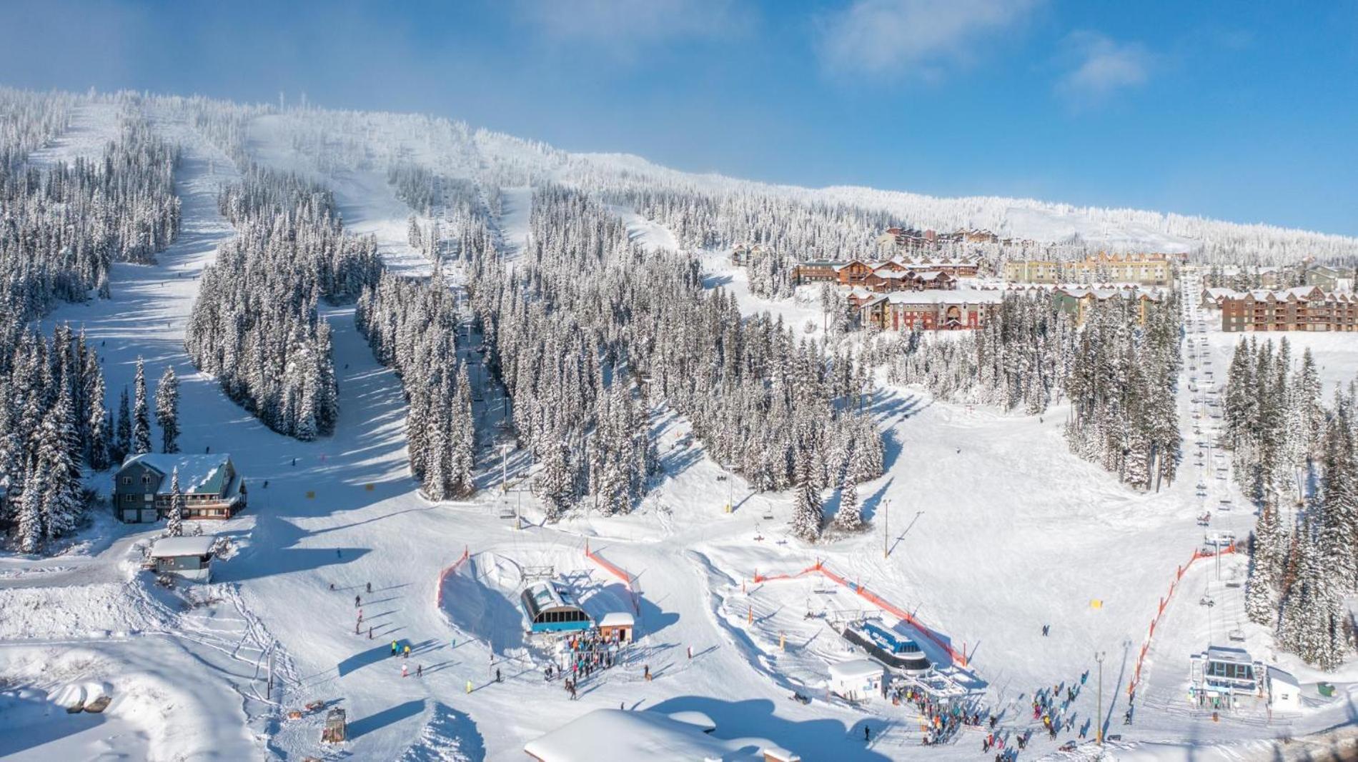 I Spy - Cozy Pet Friendly, Ski In Ski Out Condo with Private Hot Tub