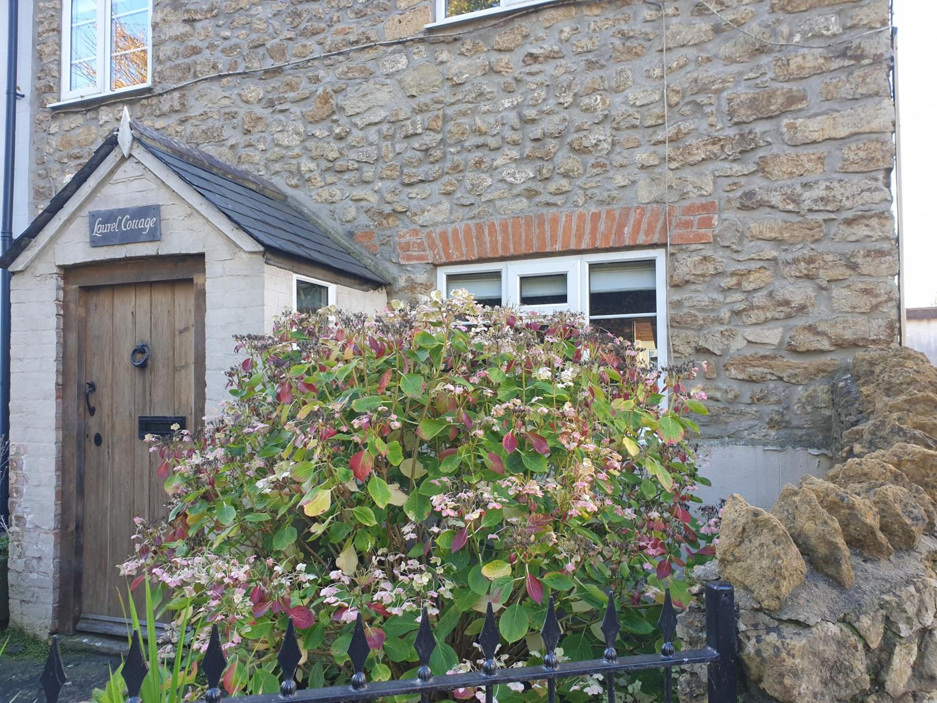 Photo 19