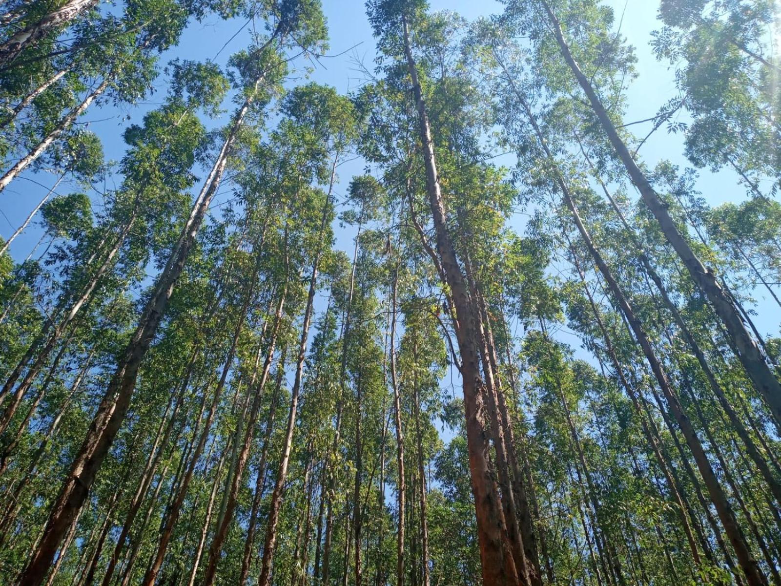 Pousada Sal da Terra