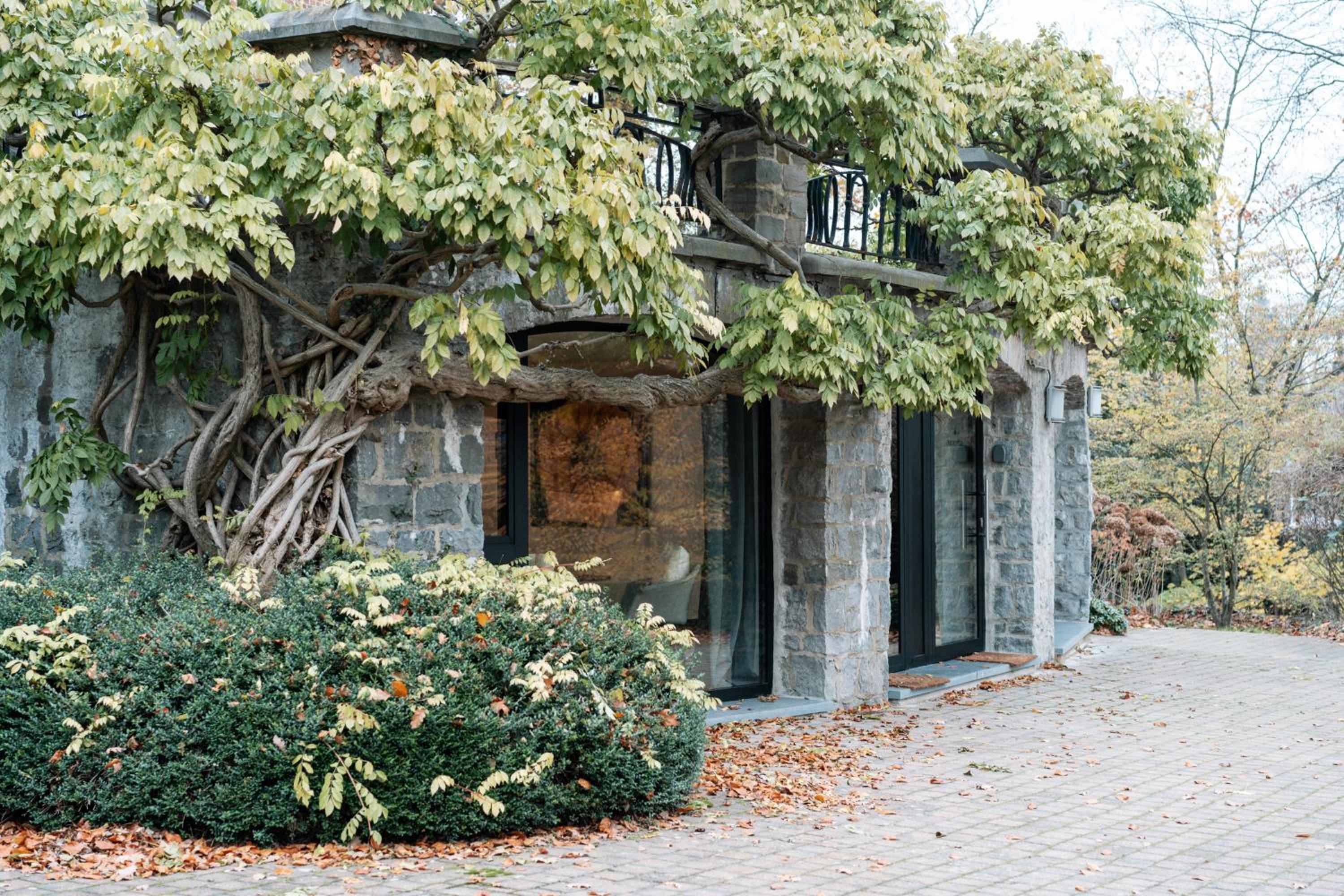 Hotel Chambres d'hôtes Eucalyptus et Glycine - Image 1