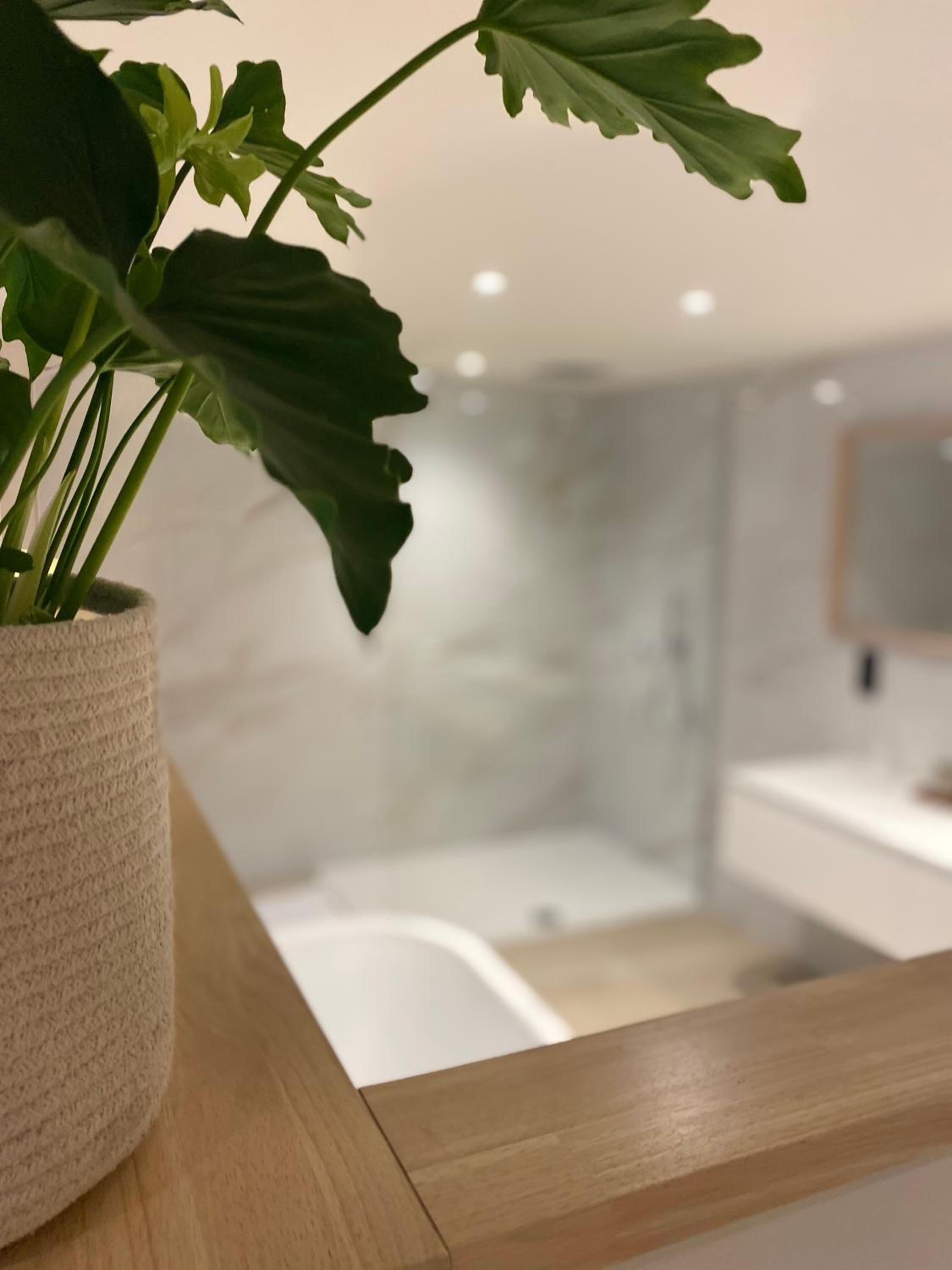 Chambres d'hôtes Eucalyptus et Glycine