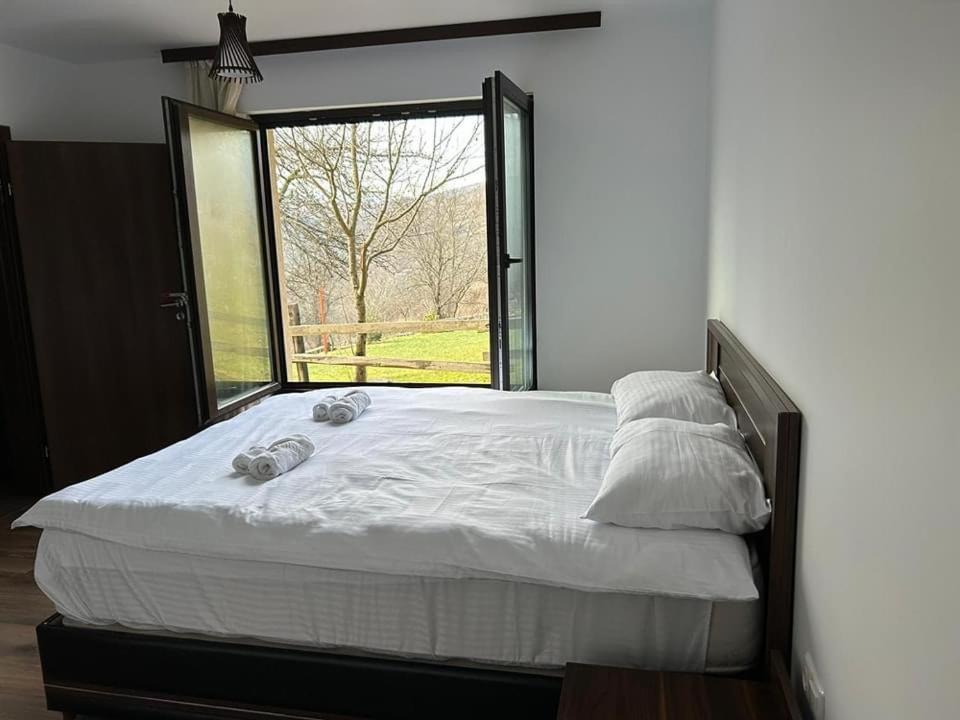Forest House Doftana