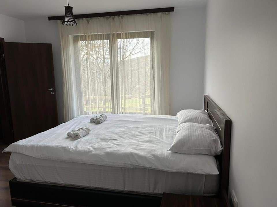 Forest House Doftana