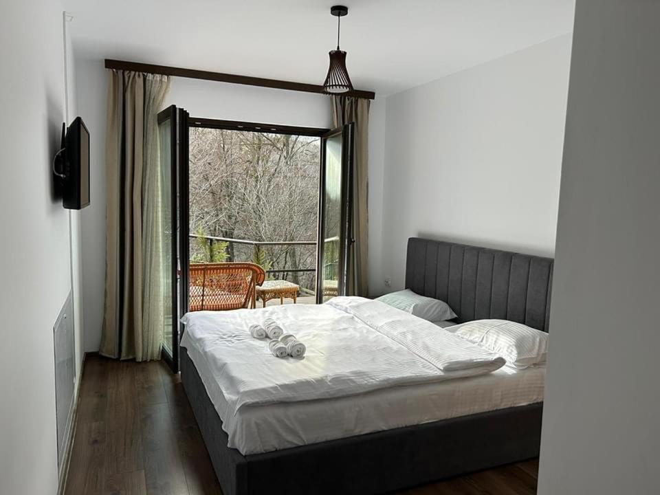 Forest House Doftana