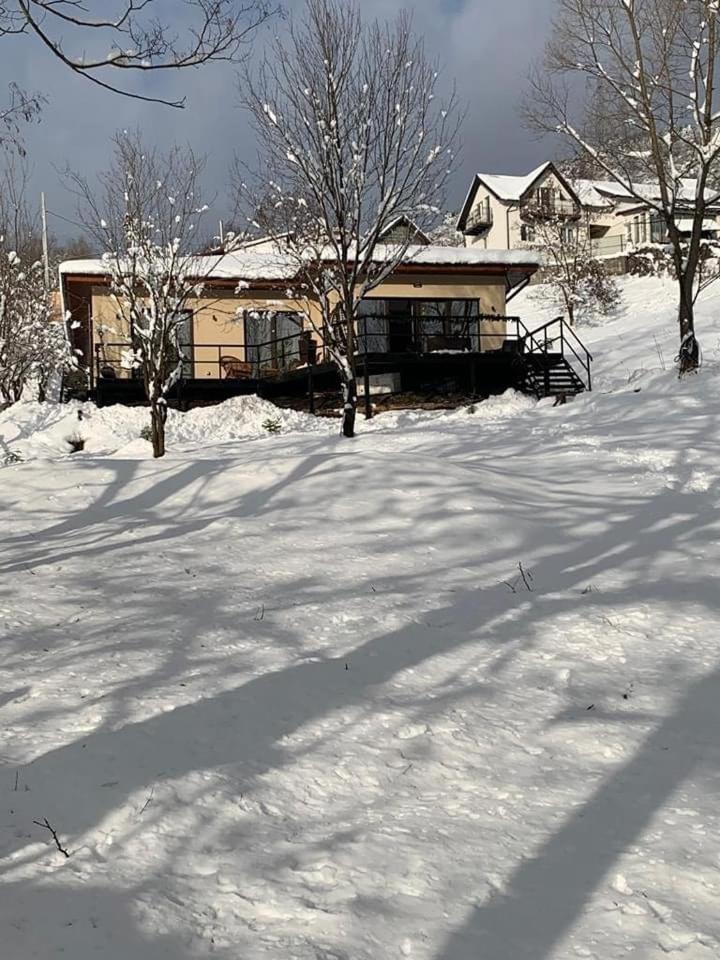 Forest House Doftana