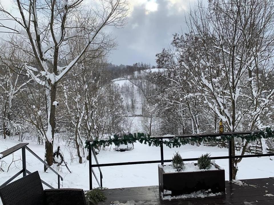 Forest House Doftana