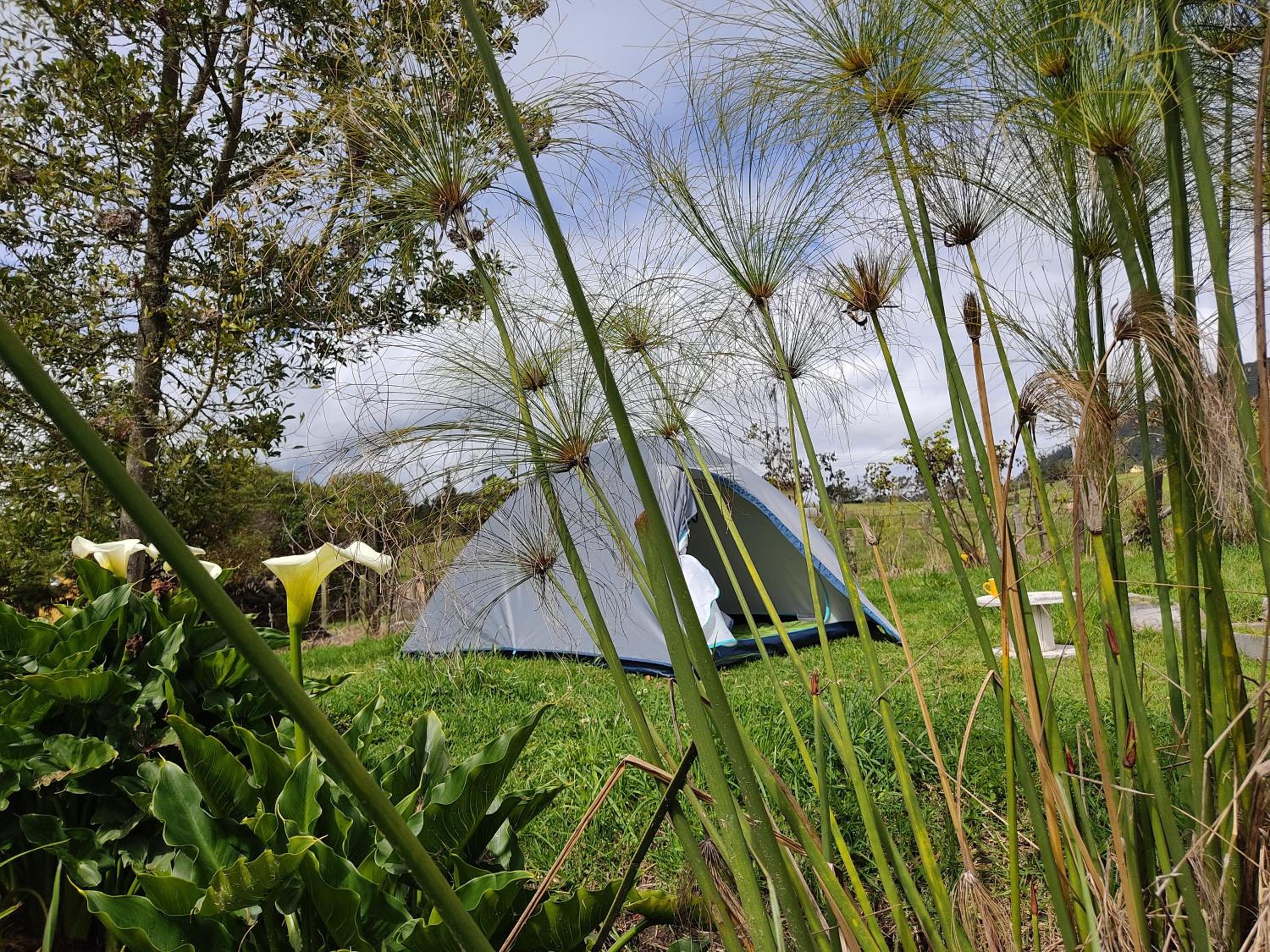 Iwoka Ecoturismo, photo 29