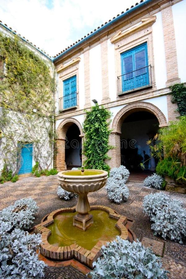 El patio de Lindo view 4