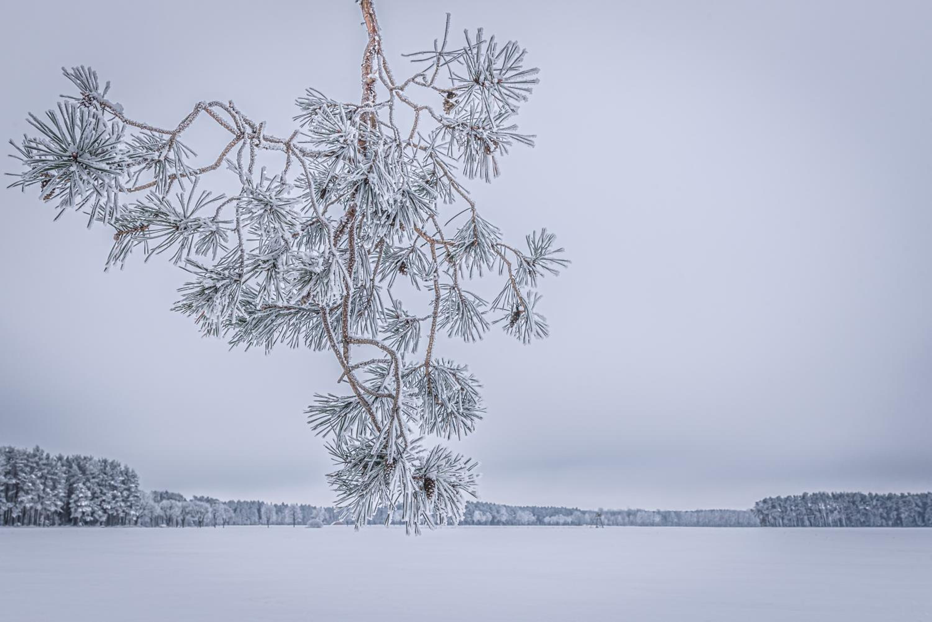 Auszeit im Seenland
