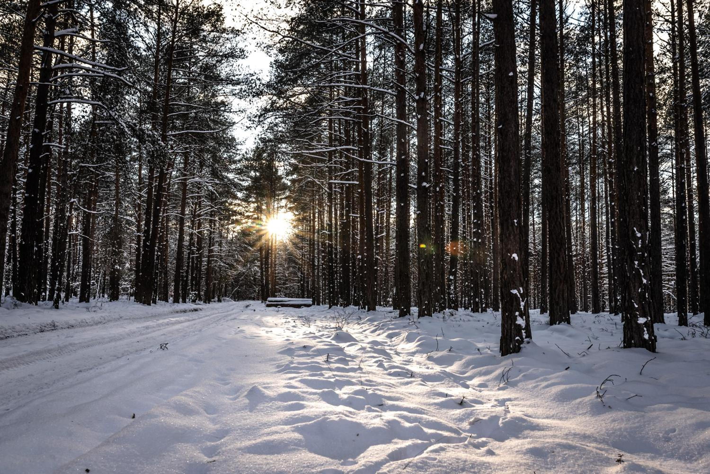 Auszeit im Seenland