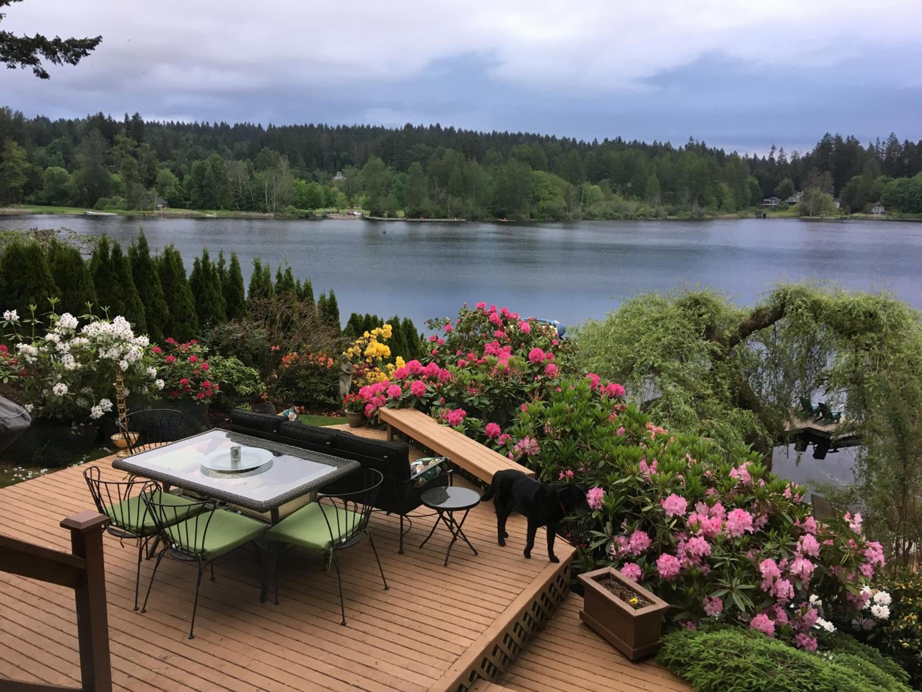 Hotel Cottage Lake Bed and Breakfast