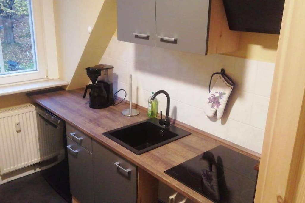 Panorama Refugium Karasek - Ferienwohnung in Oybin-Hain