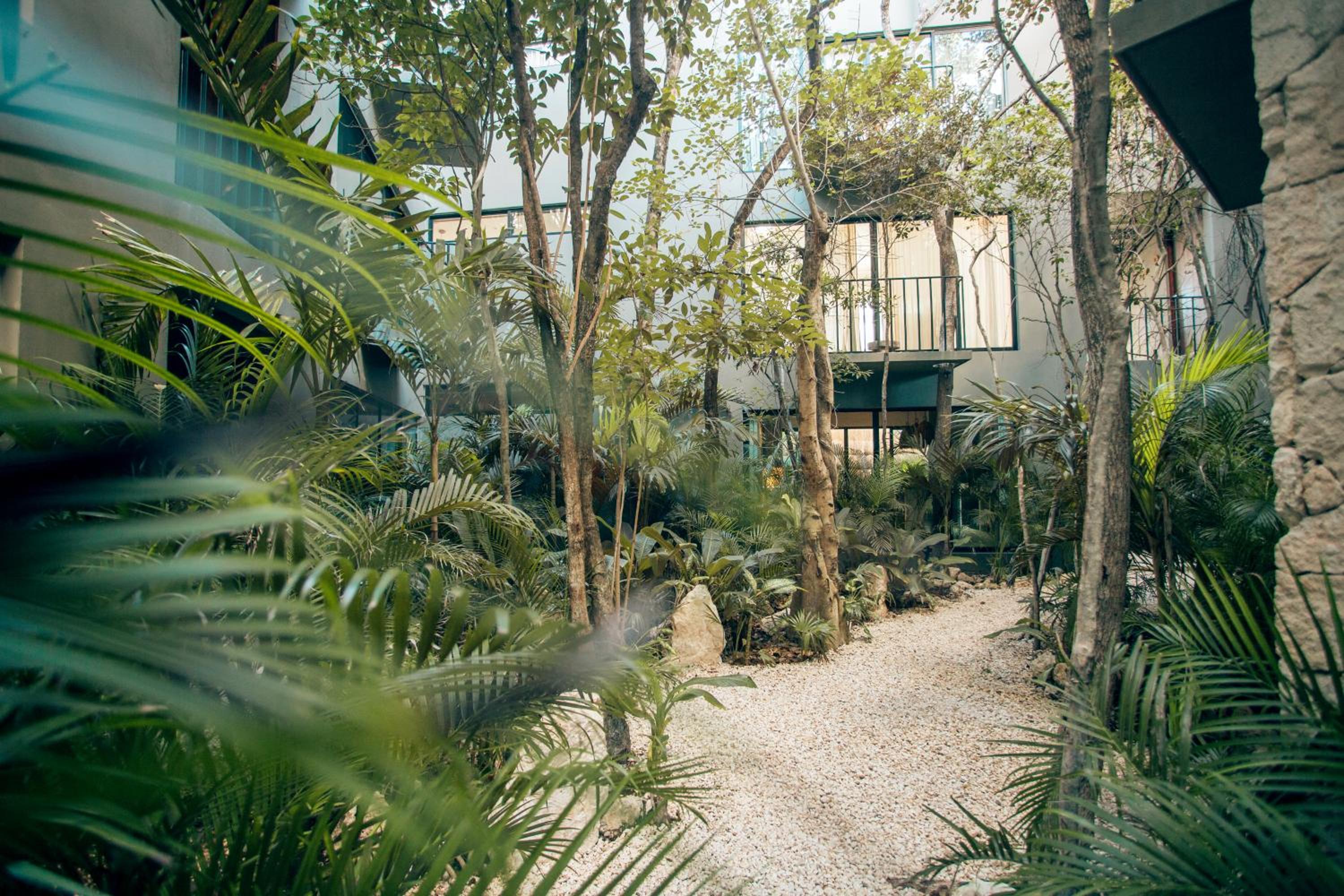 Vida Jungle Apart 7 with special fee to access Hotel Bardo view 3