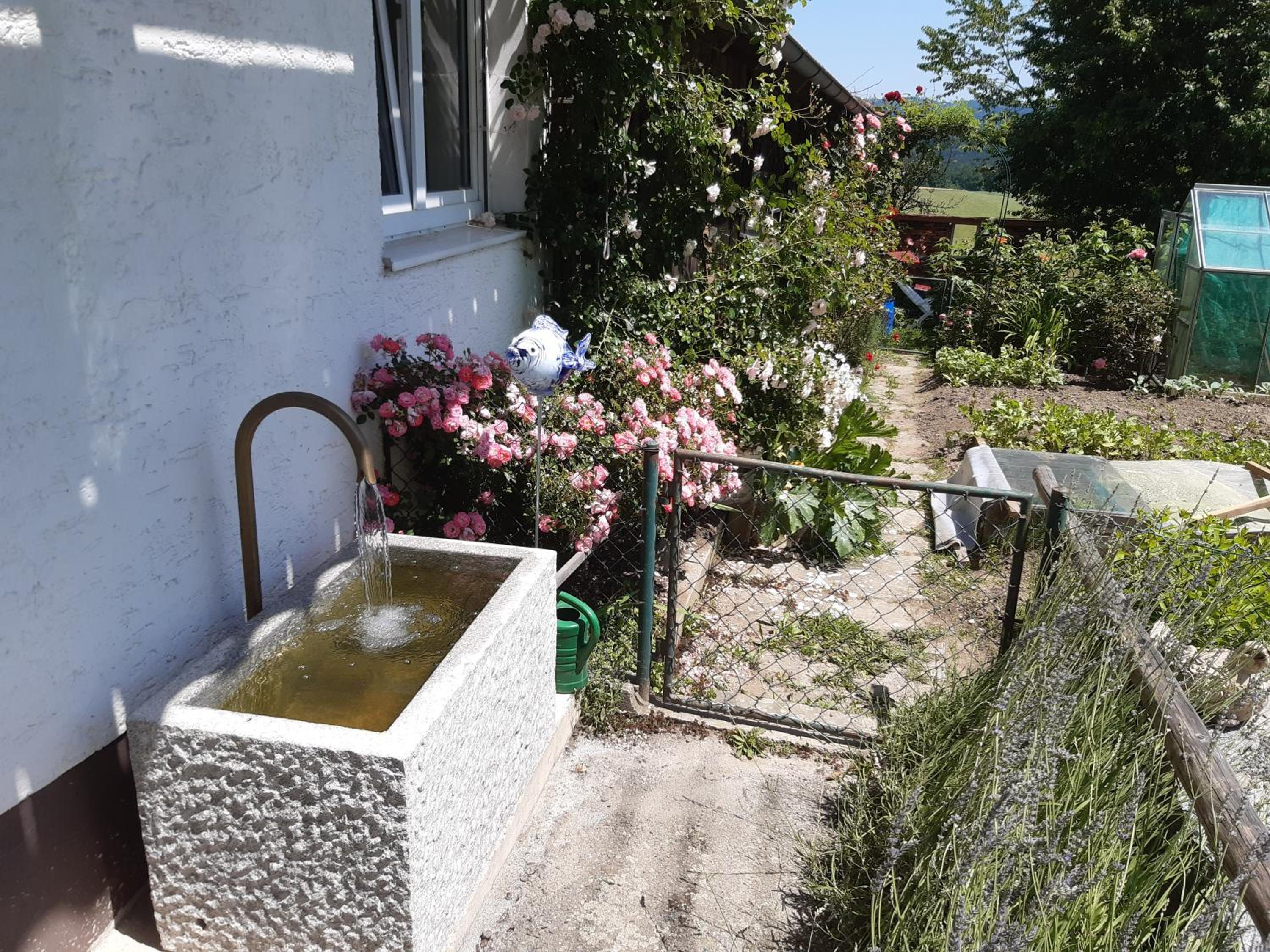 Photo 49