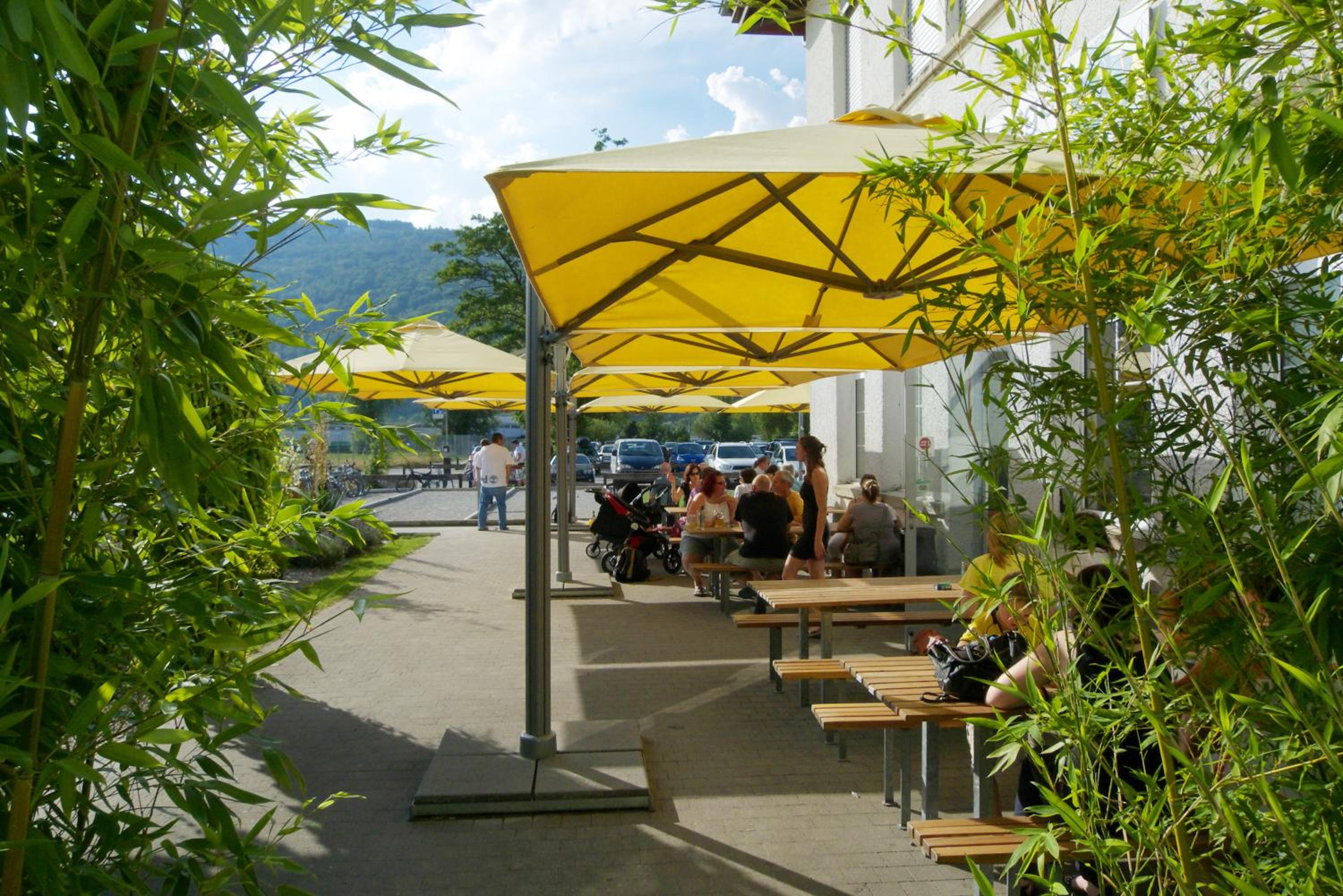 Swiss Hostel Lago Lodge view 4