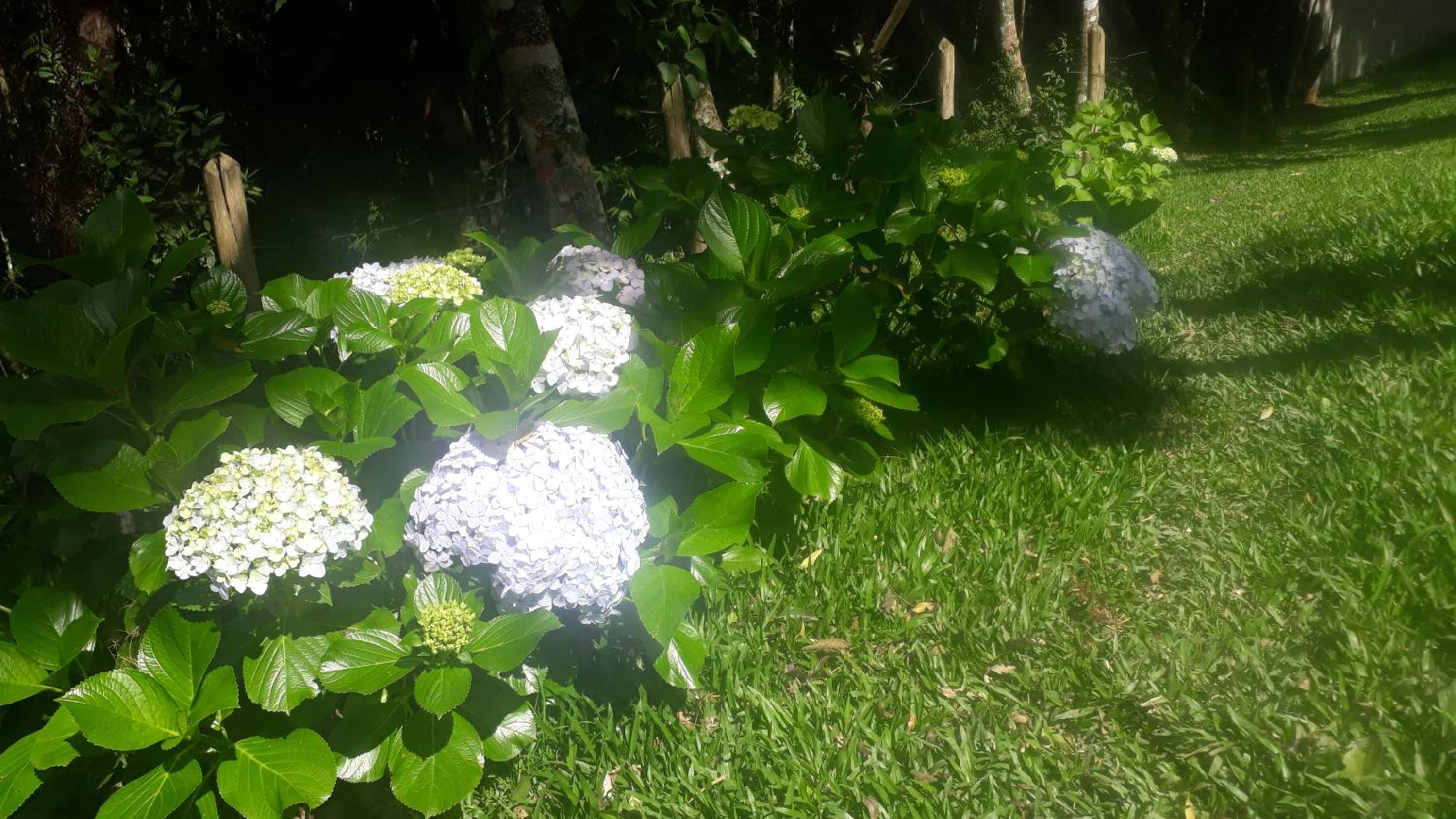 Parada Di Maria Guest House