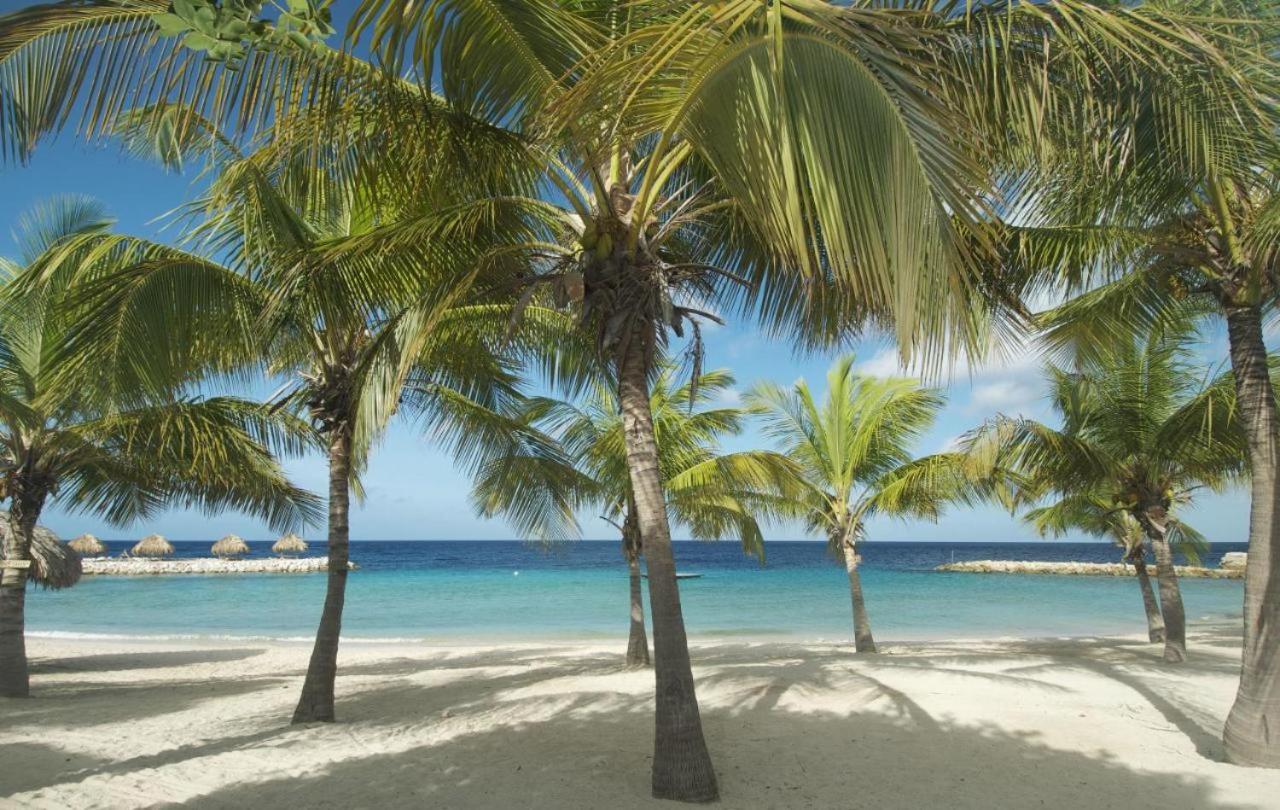 Blue Bay Resort luxury apartment Palm View