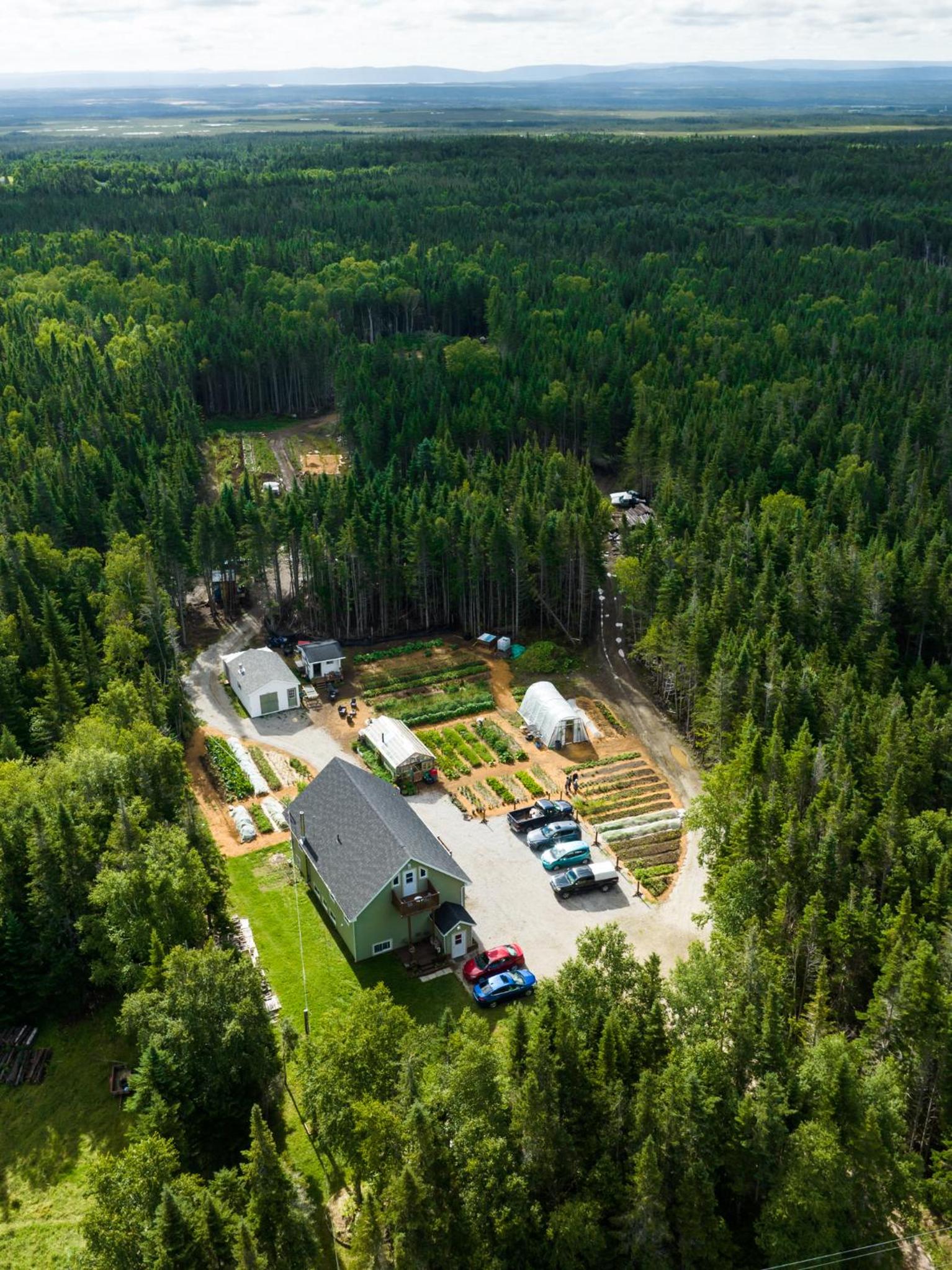 Upper Humber Settlement a FarmStay B&B