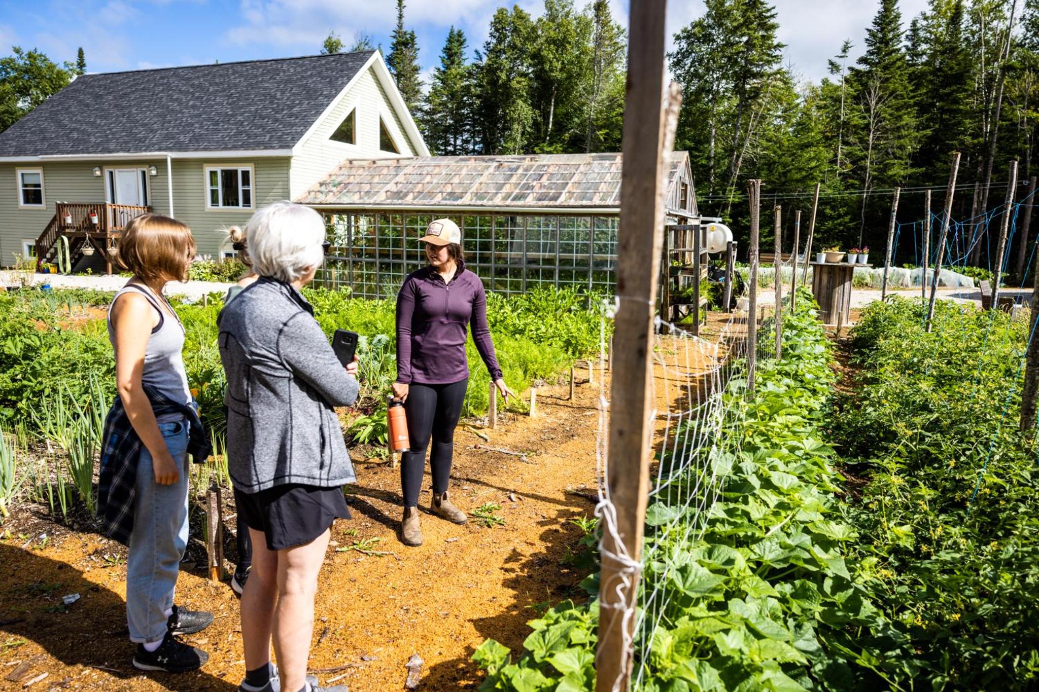 Upper Humber Settlement a FarmStay B&B