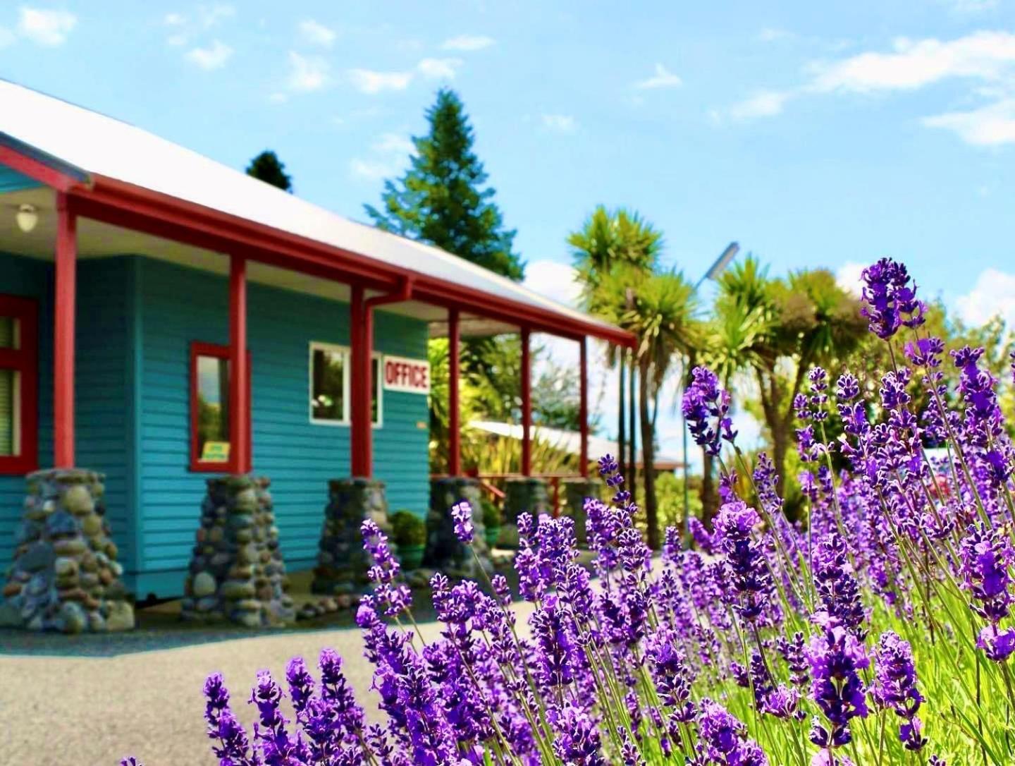 Adventure Lodge and Motels and Tongariro Crossing Track Transport view 2