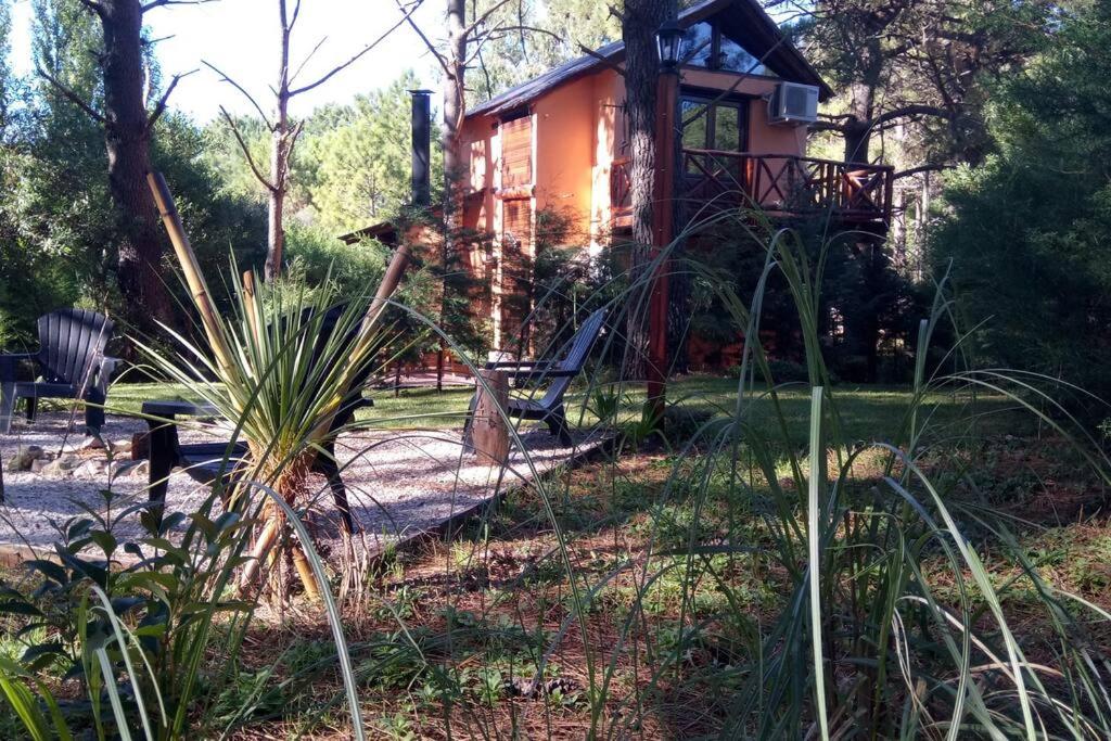 Las Nenas. Un paraíso en el bosque