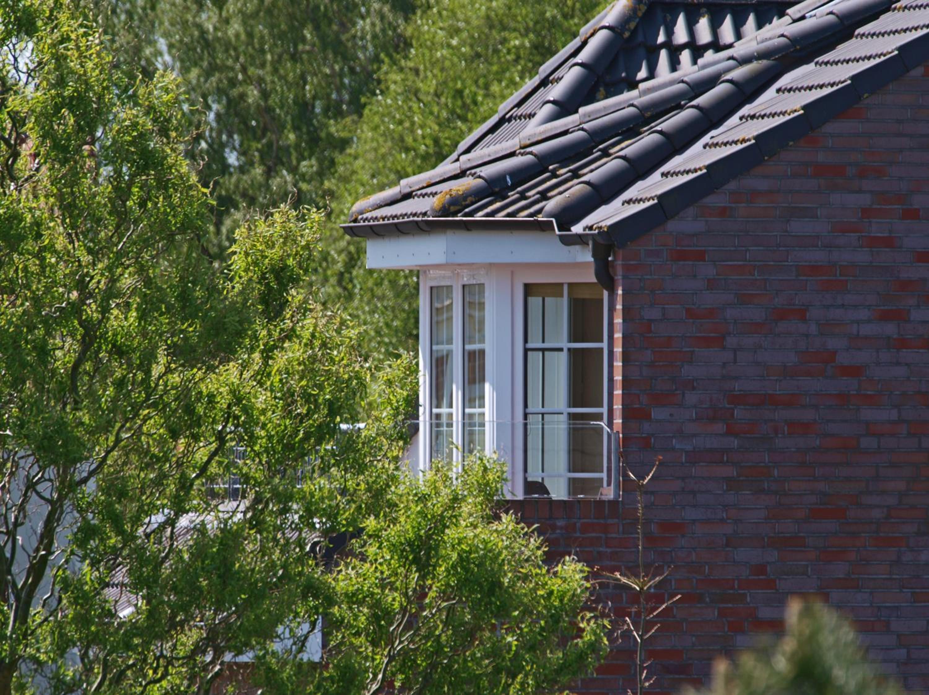 Ferienwohnung mit Meerblick Grimmershörnbucht view 3