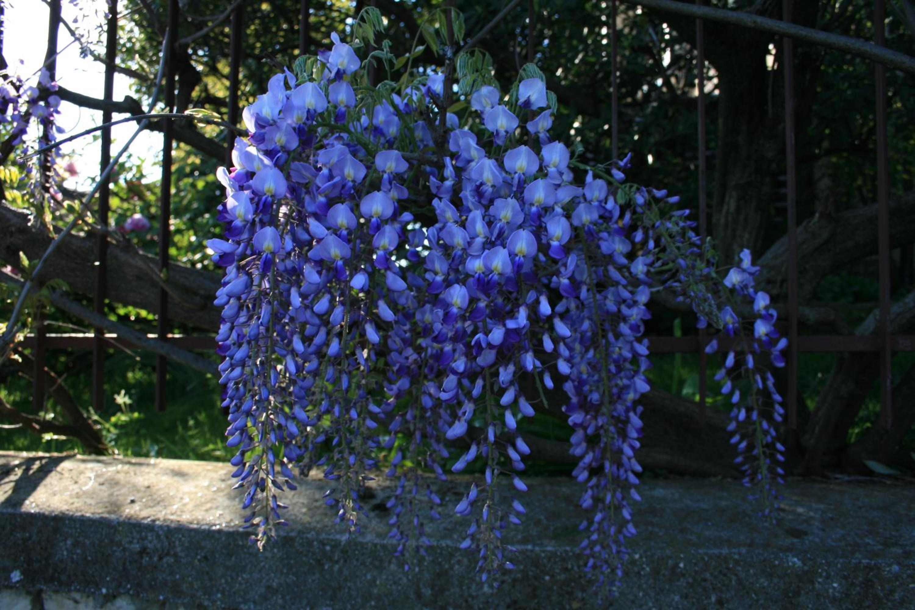 Photo 27