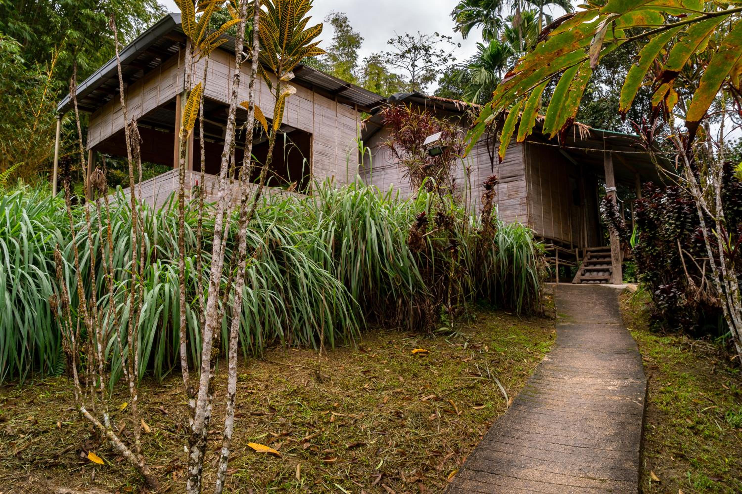 Rain Forest Inn