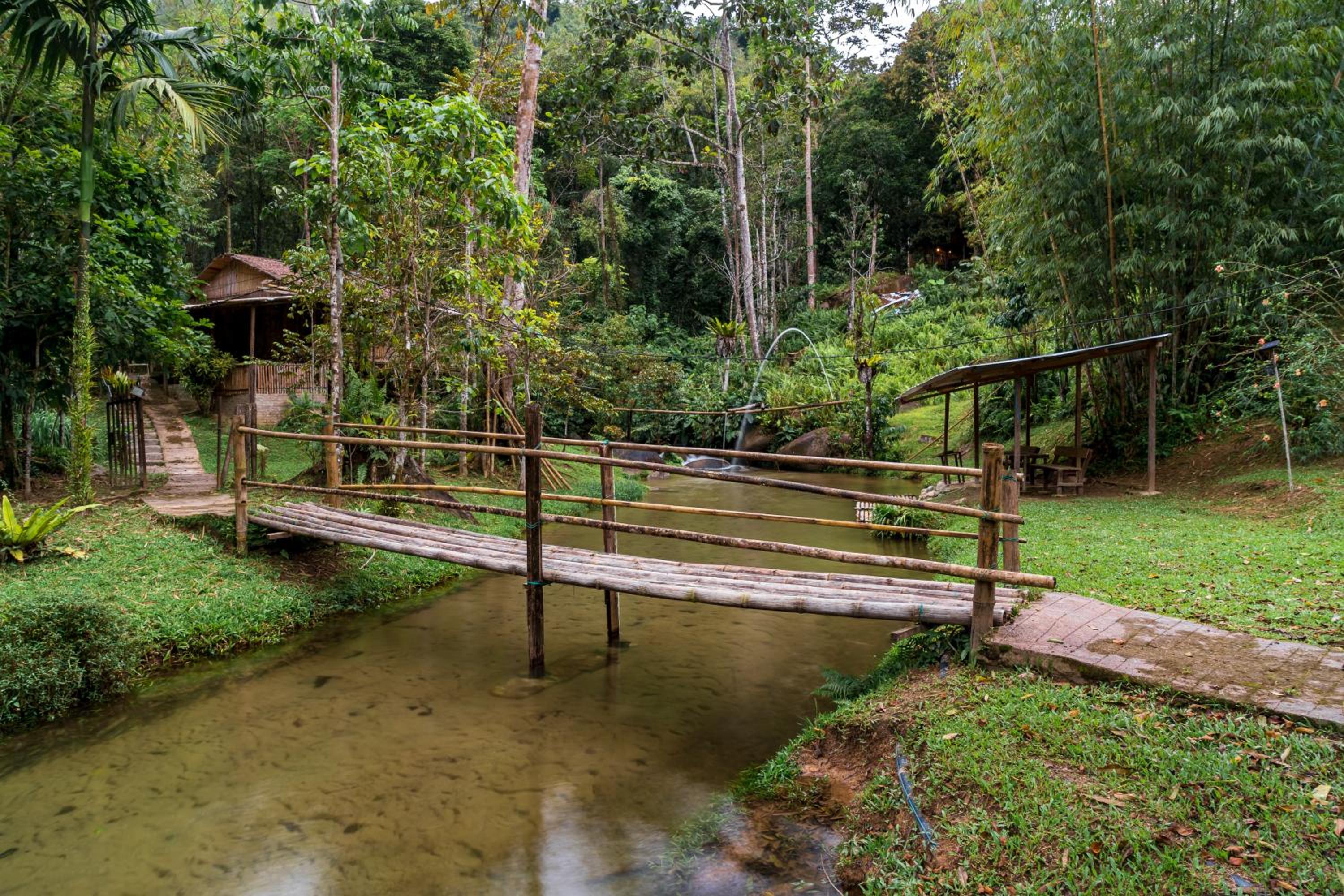 Rain Forest Inn