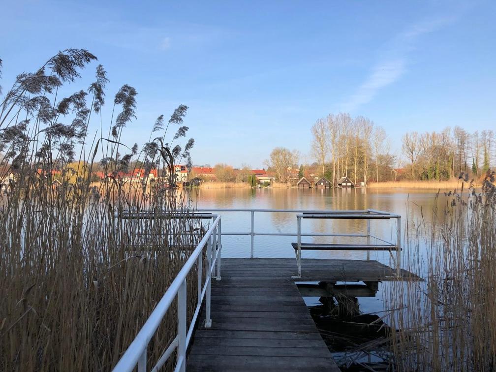 Ferienhaus am Klosterwald