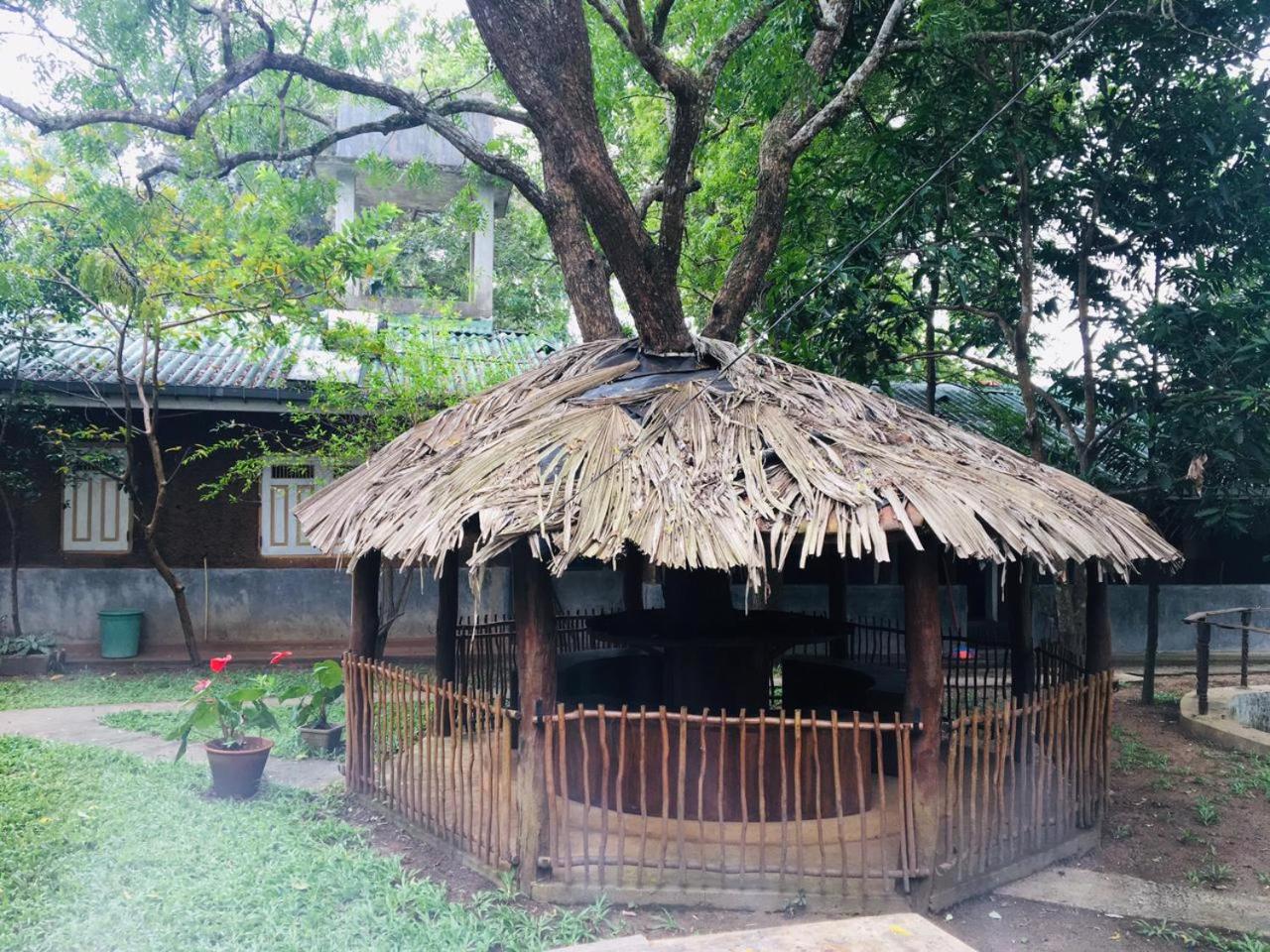 Eth Mansala view 2