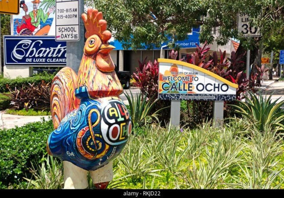 Intimate Casita Mia minutes away from Airport, Calle 8, Brickell, Coral Gables, The beach and more!