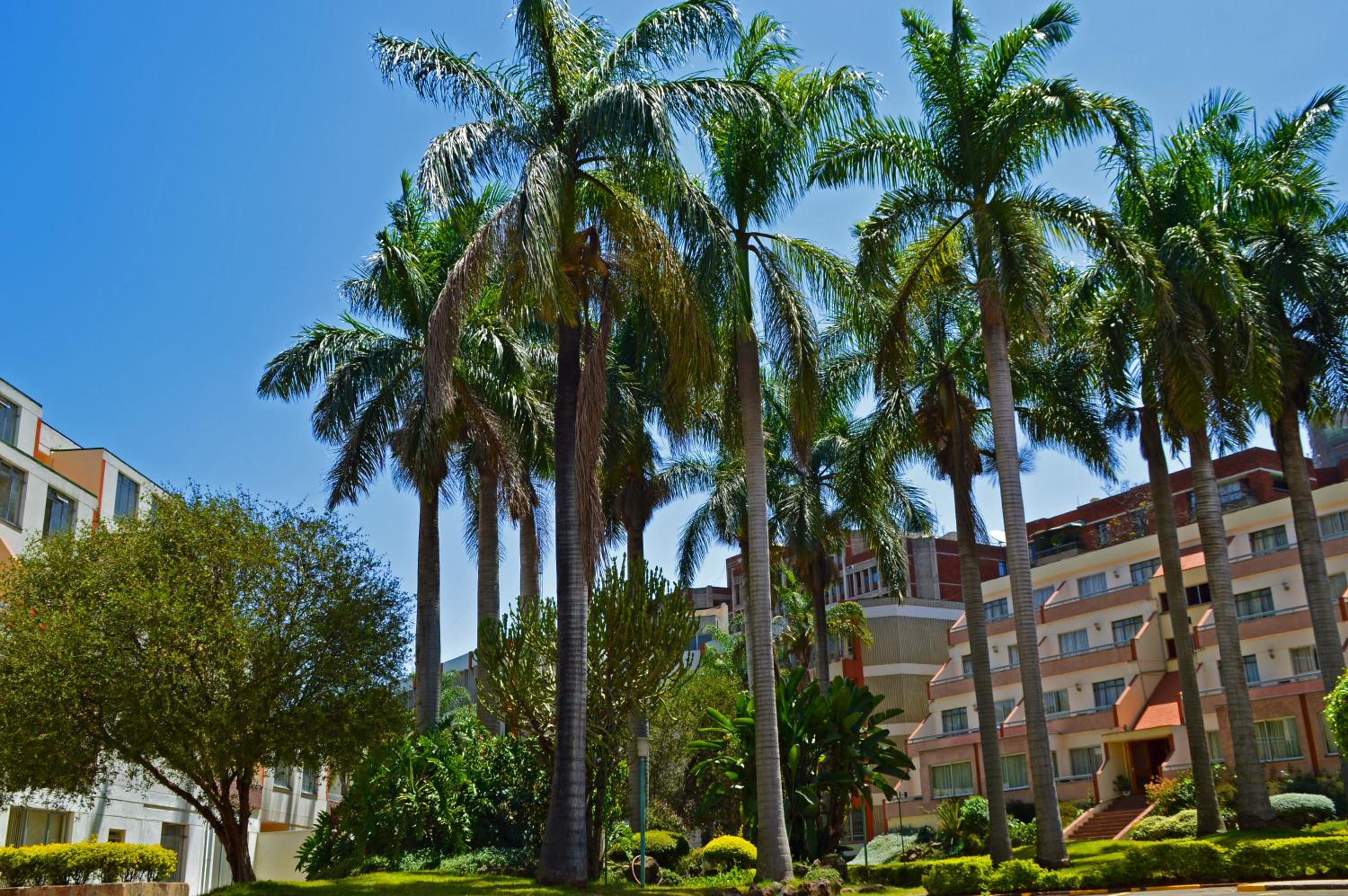 Norfolk Towers Serviced Apartment -Nairobi, City Centre CBD — Nairobi