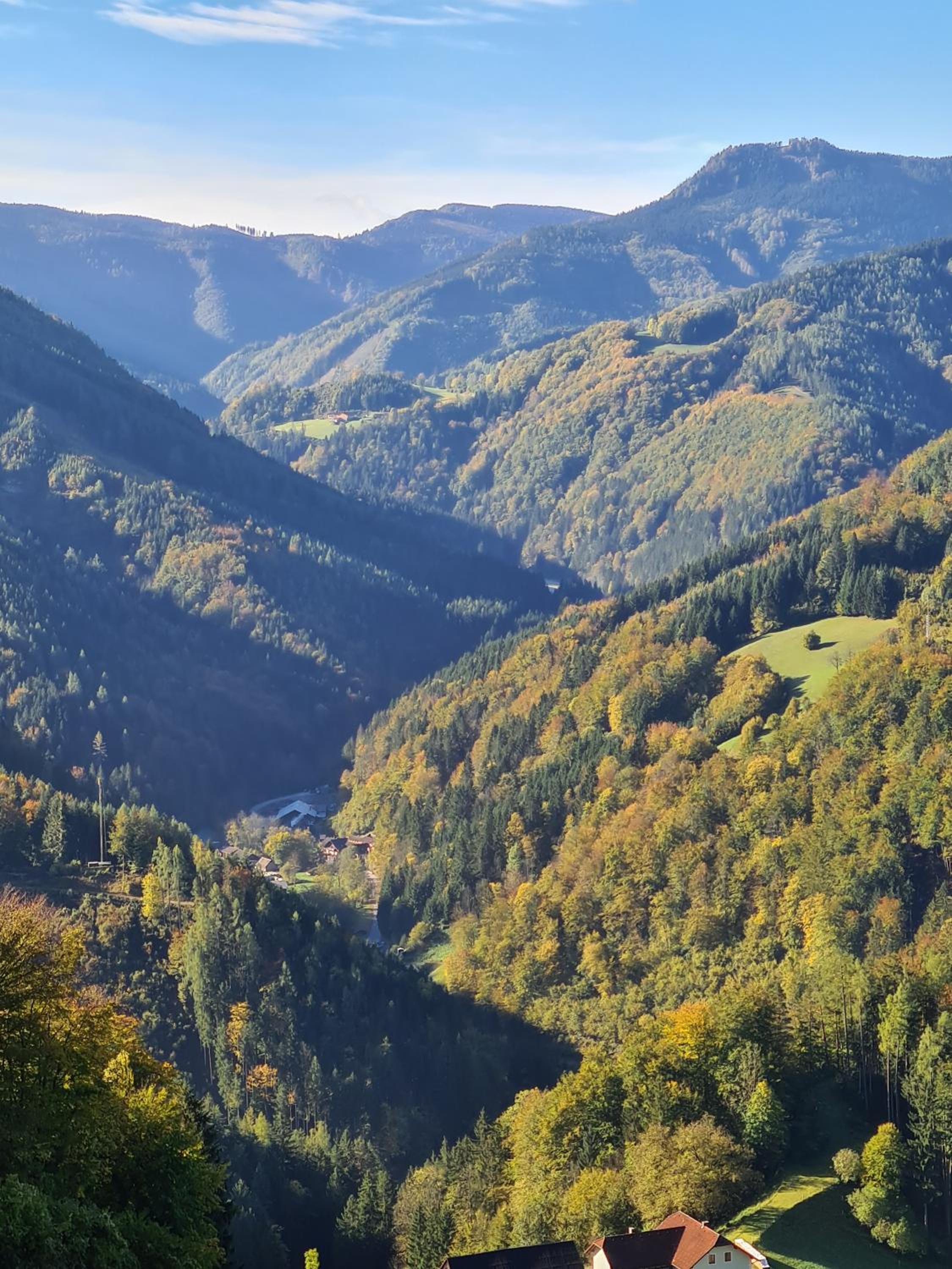 Haslaustube