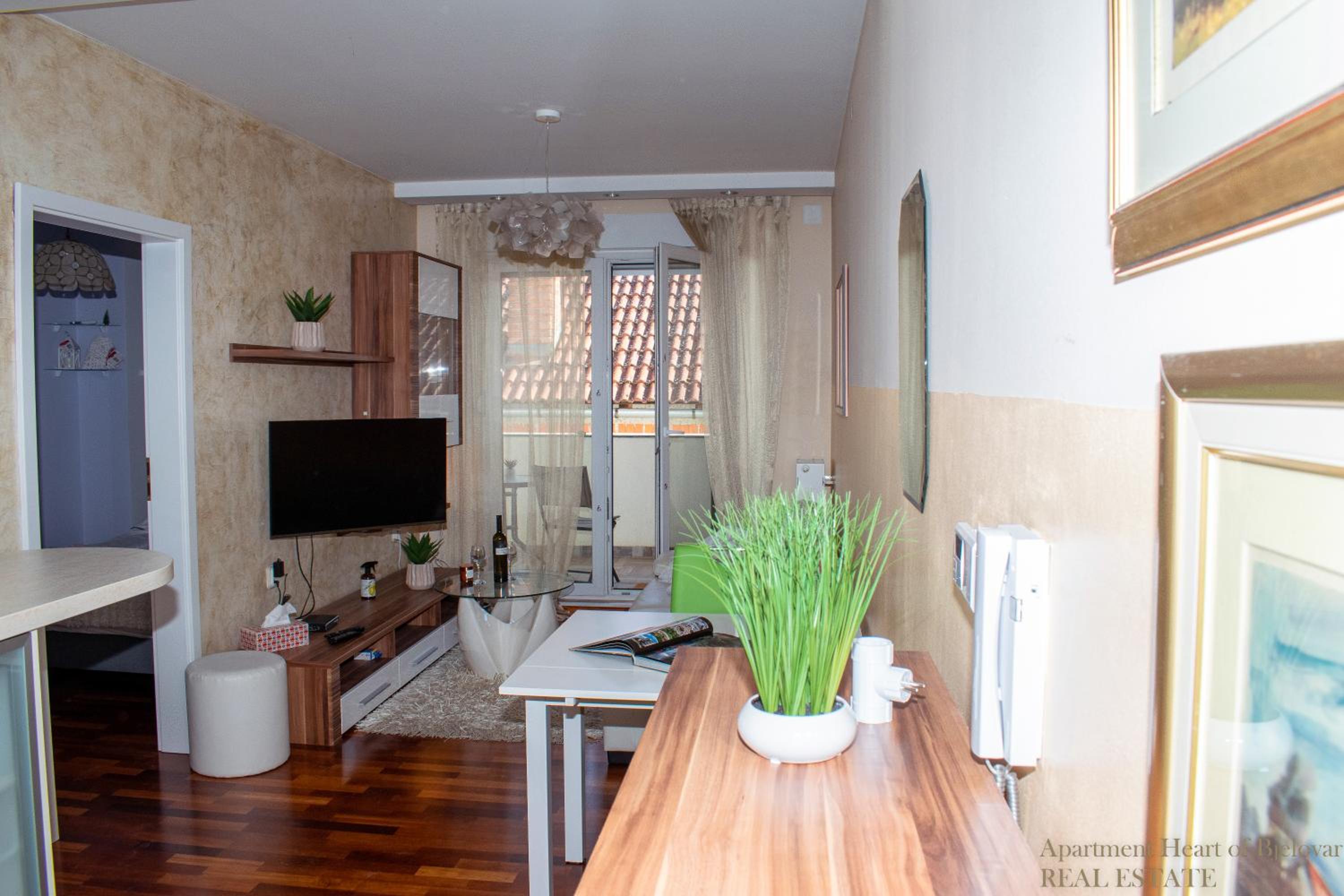 Apartment Heart of Bjelovar view 3