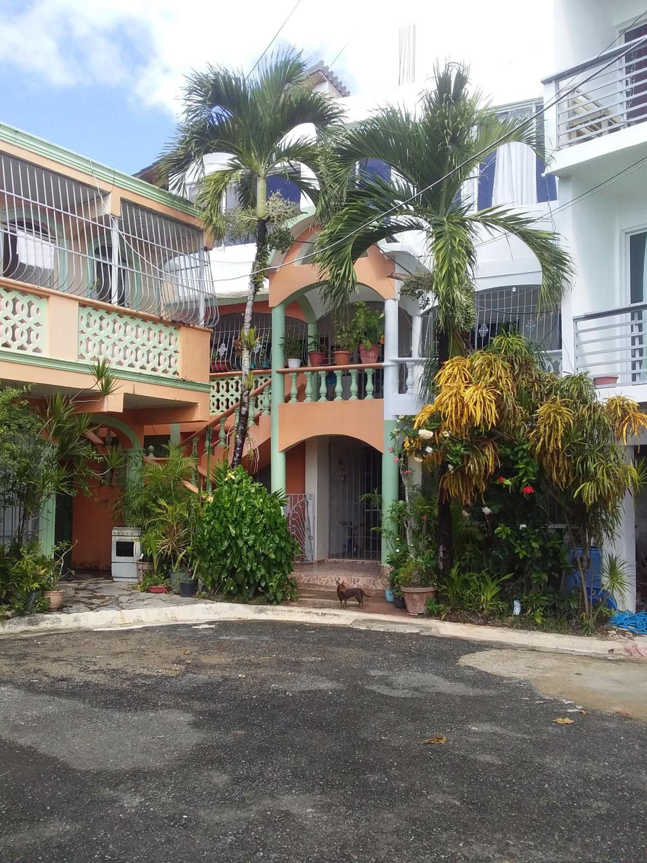 Hotel Room in Guest room - Best bed and breakfast in Samana Breakfast Included - Image 1