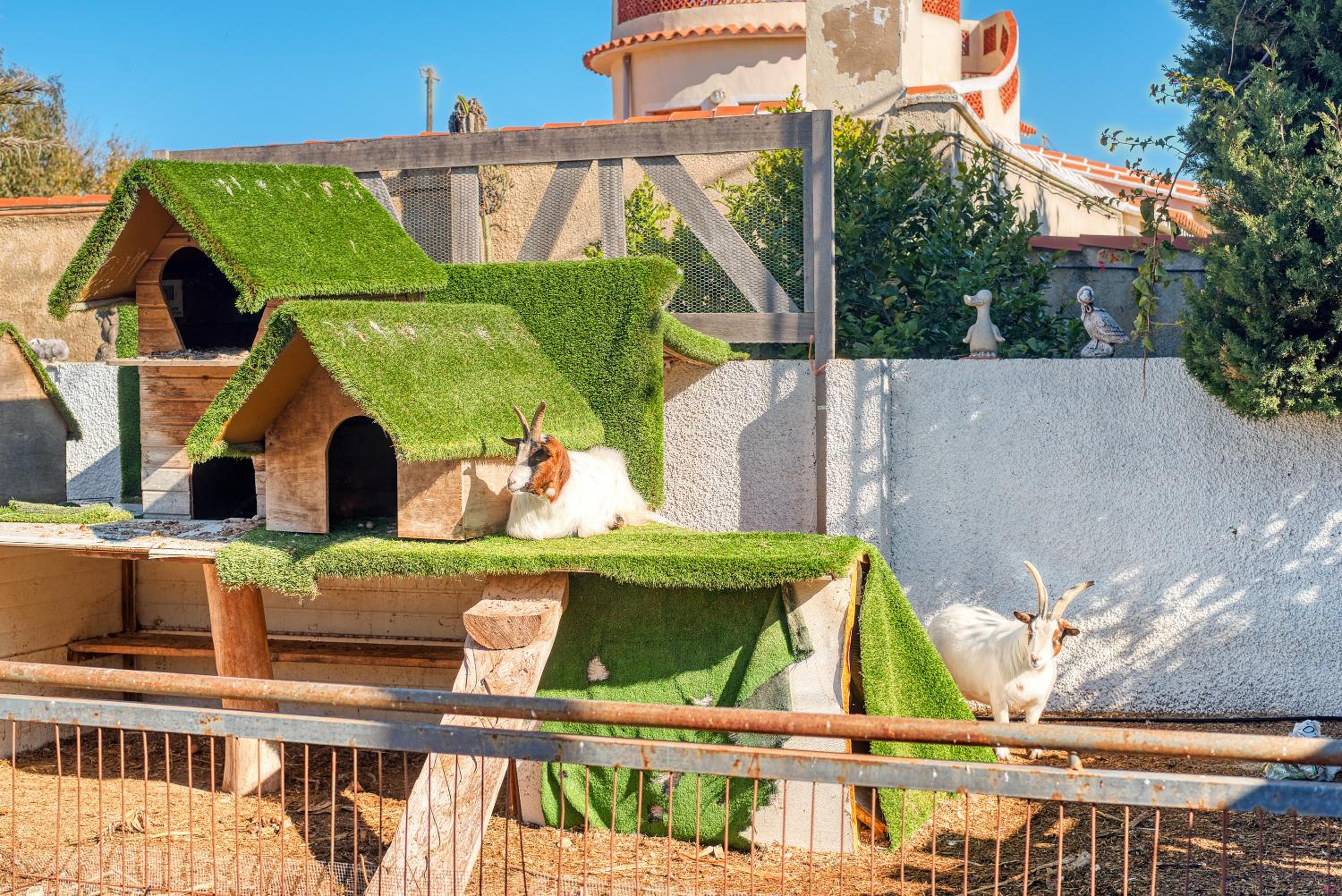 Kuko Beach Denia